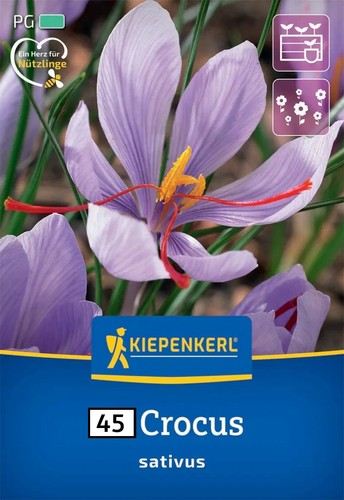 Stück blumenzwiebeln - 45,
