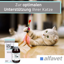 ReConvales Tonicum Katze Aufbaunahrung Flüssignahrung Untergewicht 280ml