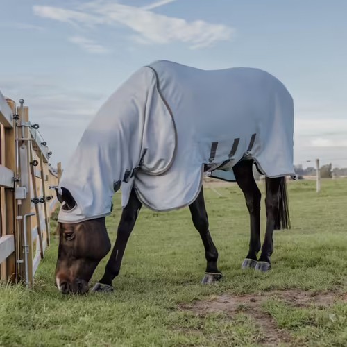 Kentucky horsewear - kentucky,
