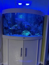 190l Meerwasseraquarium (JUWEL