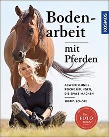 Bodenarbeit mit pferden - bodenarbeit,