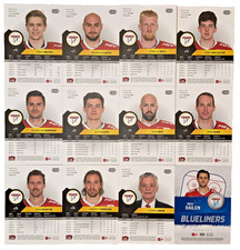 12 x Playercards DEL Saison