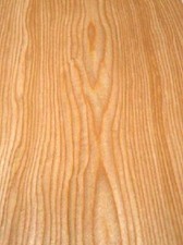 Kirschbaum Furnier SaRaiFo Kirschholz Blume 250x63-64cm x 0,48mm