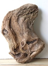 Treibholz Schwemmholz