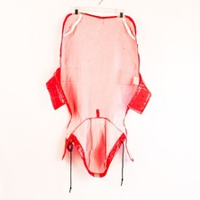 Petrageus Großer Hund