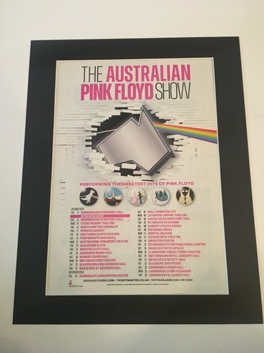 Australian pink floyd - pink,