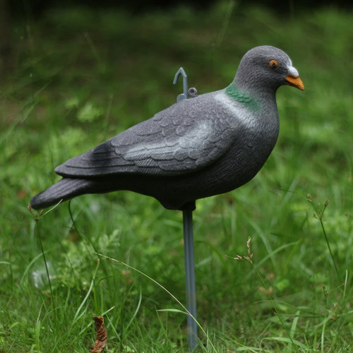 Künstliche taube lockvogel - taube,