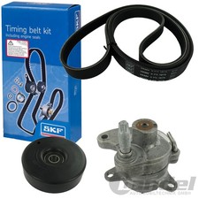SKF KEILRIPPENRIEMEN +