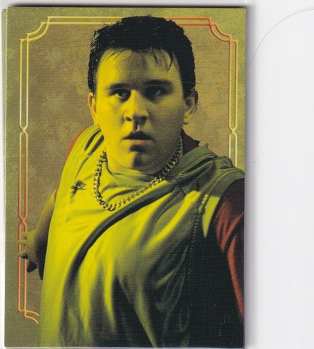 Panini harry potter evolution - potter,