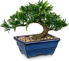Kunstpflanze Bonsai Baum Blau Keramiktopf Aesthetic Japanische Deko