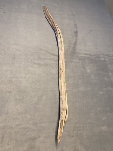 Treibholz driftwood - treibholz,