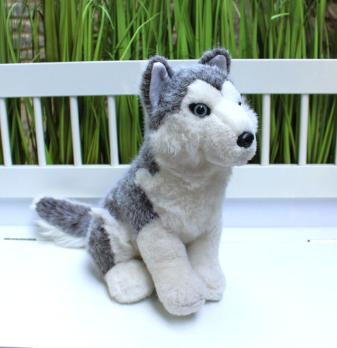 Semo hund husky - semo, schlittenhund
