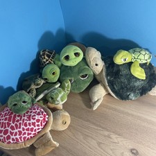 Konvolut grüne Schildkröte