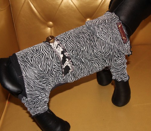 9421 angeldog hundekleidung - 9421,