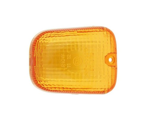 Blinkerglas vorne und hinten