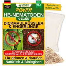HB-Nematoden gegen Engerlinge