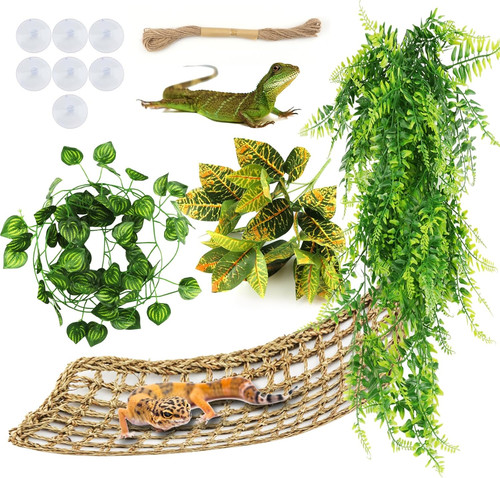 Reptilien terrarium zubehör - reptilien,
