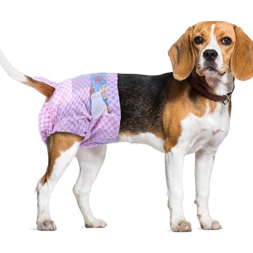 Einwegwindeln für hunde und - für,