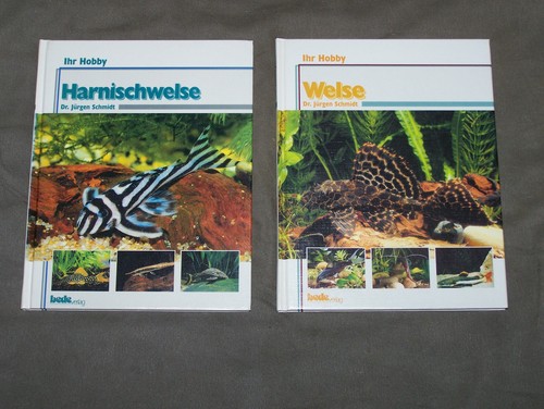 Harnischwelse welse - 2, x