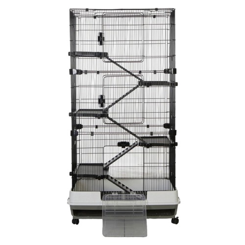Ratten frettchen chinchilla - ratten,