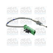 1x Sensor, Abgastemperatur