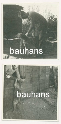 Foto offizier luftwaffe - foto,