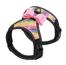 Luxusgeschirr für kleine