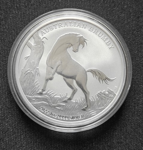 Australian brumby 2022 - australian,