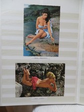 93* Kolorierte Postkarten Schauspielerinnen Kim Nowak, Sophia Loren, Jane Fonda