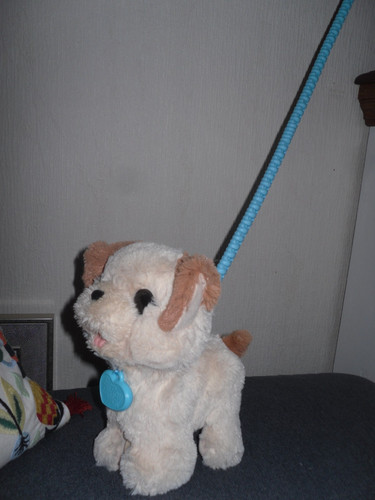 Furreal friends pax poopin - friends,