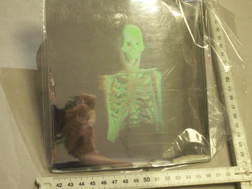Hologramm skelett knochen - skelett,