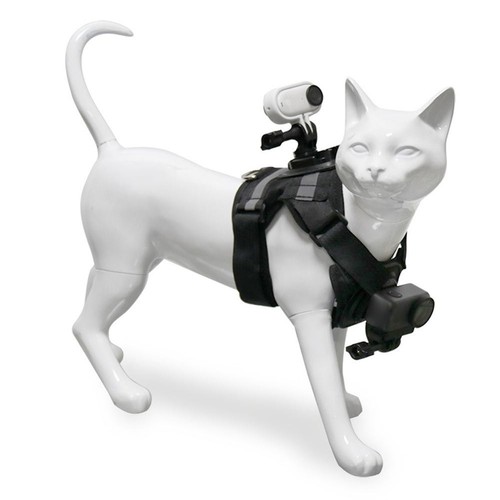 Dual kamera katzenweste für - dual,