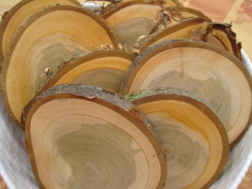 Holzscheiben astscheiben - x,