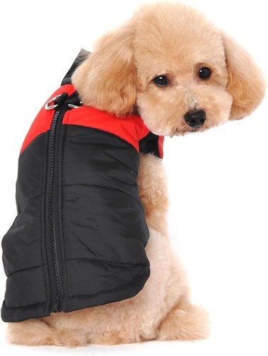 Hundemantel für kleine - , hunde