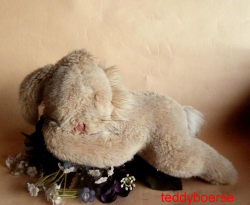 Niedlicher steiff hase floppy - niedlicher,