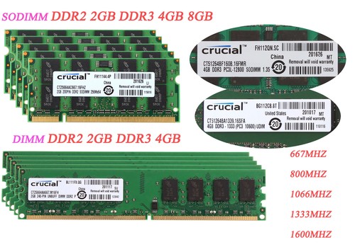 Lot crucial 8gb - crucial, 2g