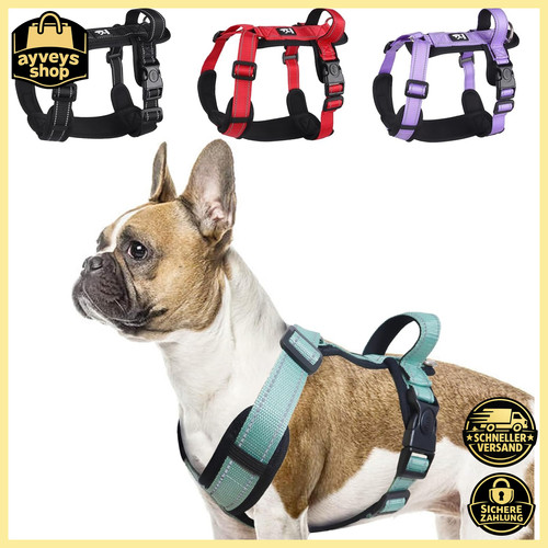Hundegeschirr grün - hundegeschirr, xl