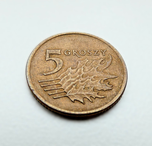 Groszy 1991 polen - polen, münze