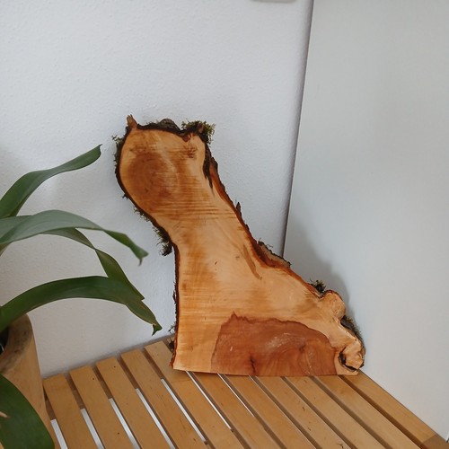 Brett apfel baumscheiben - brett,