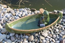 Vogeltränke frosch kanu - vogeltränke, im