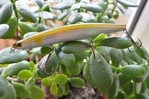 Take wobbler popper - take, jerkbait