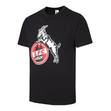 1. FC Köln T-Shirt "Basic