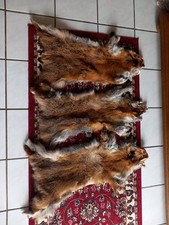 Echt Fell Vom Deutschen