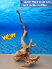 👋XXL Moorkien - Spiderwood