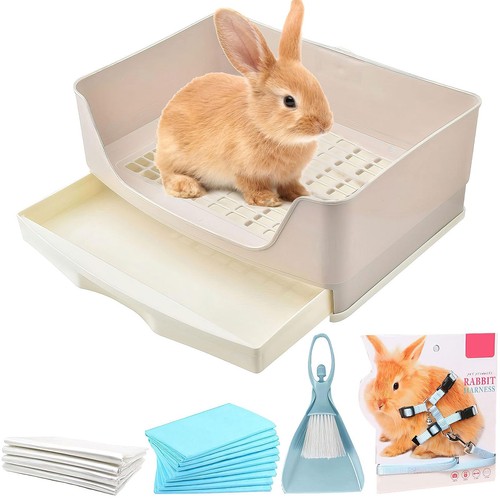 Große kaninchen toilette - große,
