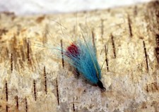 Fliege für Meerforelle und Co Gr. 4 gold/rot/hellblau handgebunden