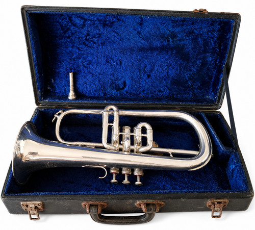 Seltene miraphone perinet - miraphone,