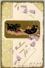 10684289 - Rottweiler Welpen