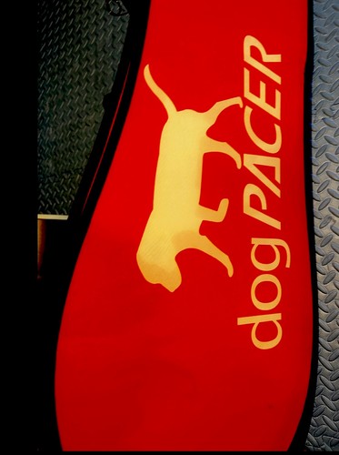 Dogpacer full size - lf, dog