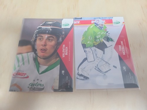 Del eishockey tradingcard - eishockey,